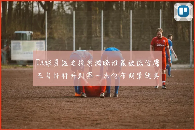 TA球员匿名投票揭晓谁最被低估鹰王与怀特并列第一杰伦布朗紧随其后